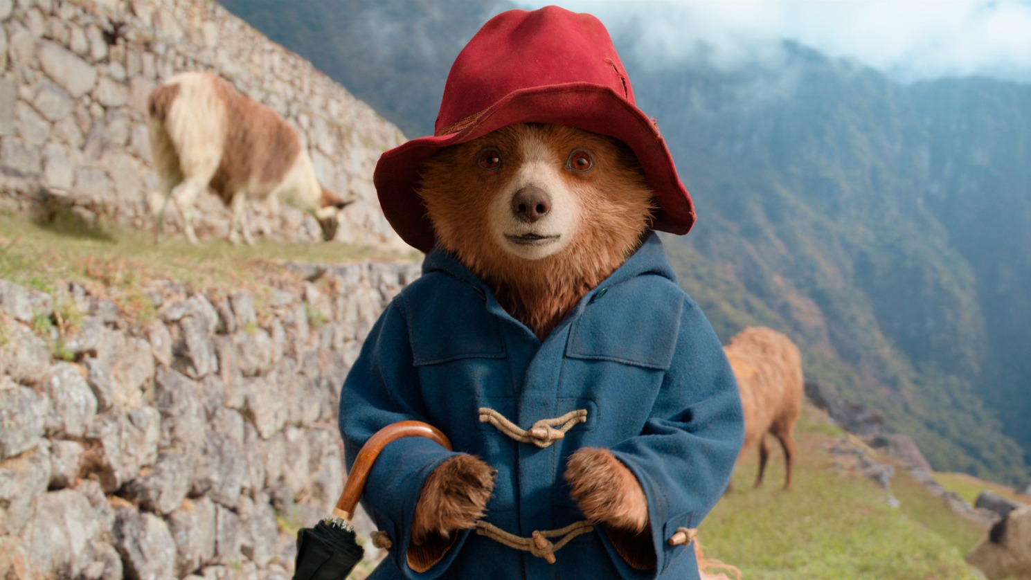 Paddington v džungli © STUDIOCANAL SAS