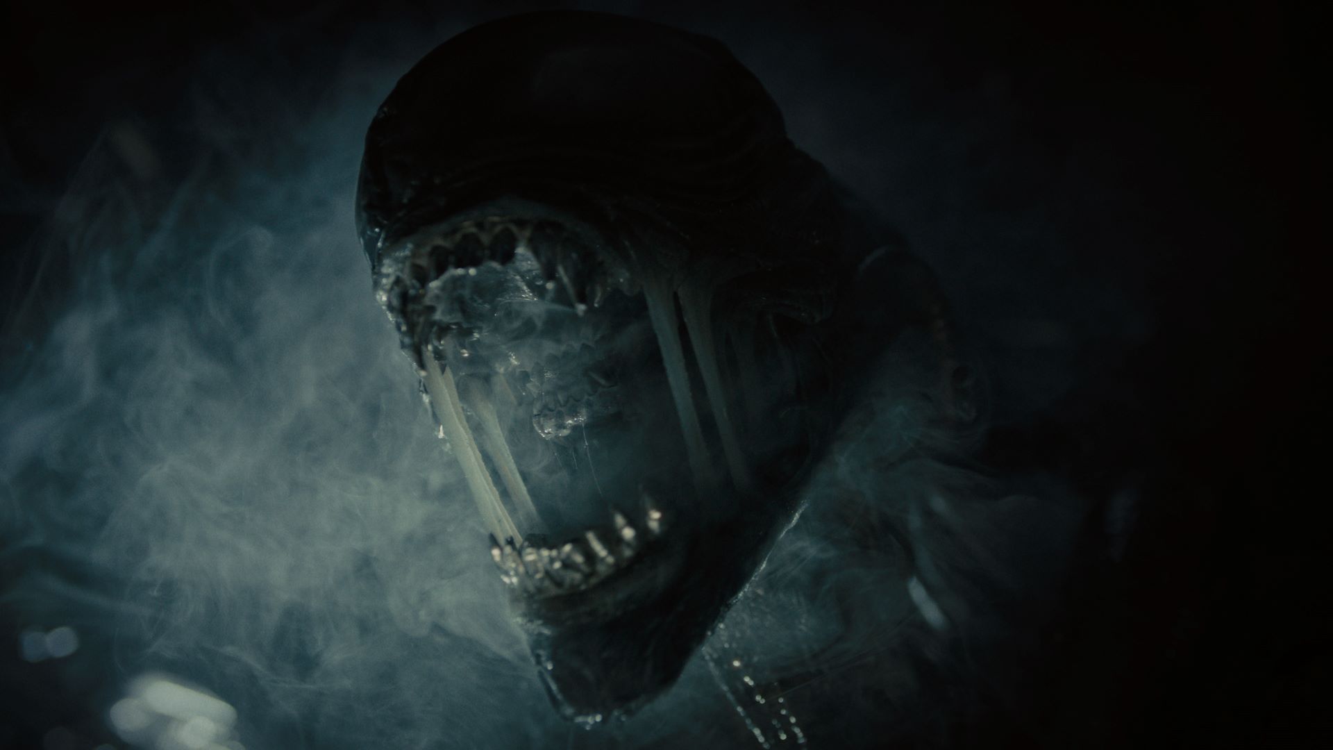 Xenomorph vo filme 20th Century Studios ALIEN: ROMULUS. Foto so súhlasom 20th Century Studios. © 2024 20th Century Studios. Všetky práva vyhradené.