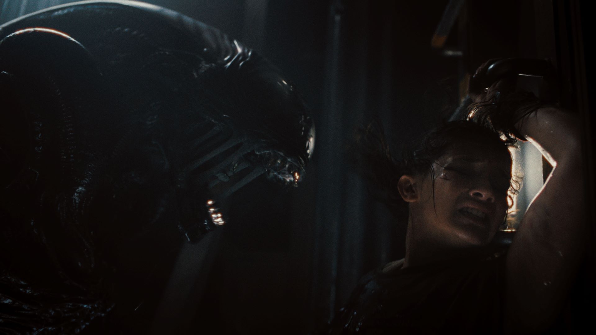 (L-R): Xenomorph a Cailee Spaeny ako Rain Carradine vo filme 20th Century Studios ALIEN: ROMULUS. Foto so súhlasom 20th Century Studios. © 2024 20th Century Studios. Všetky práva vyhradené.