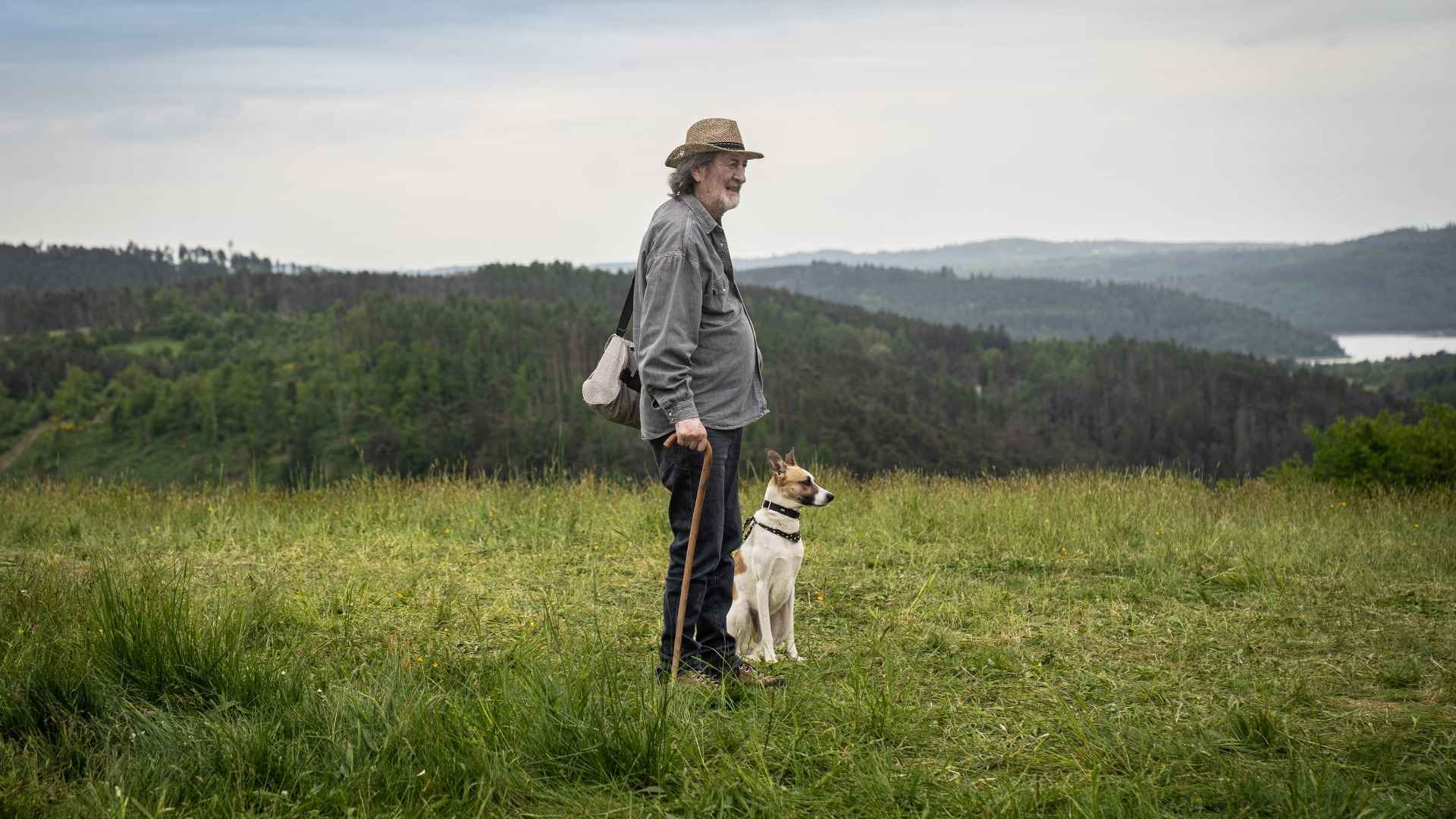 Gump: Sme dvojka - pozrite si prvé zábery z pokračovania filmu o psom tulákovi