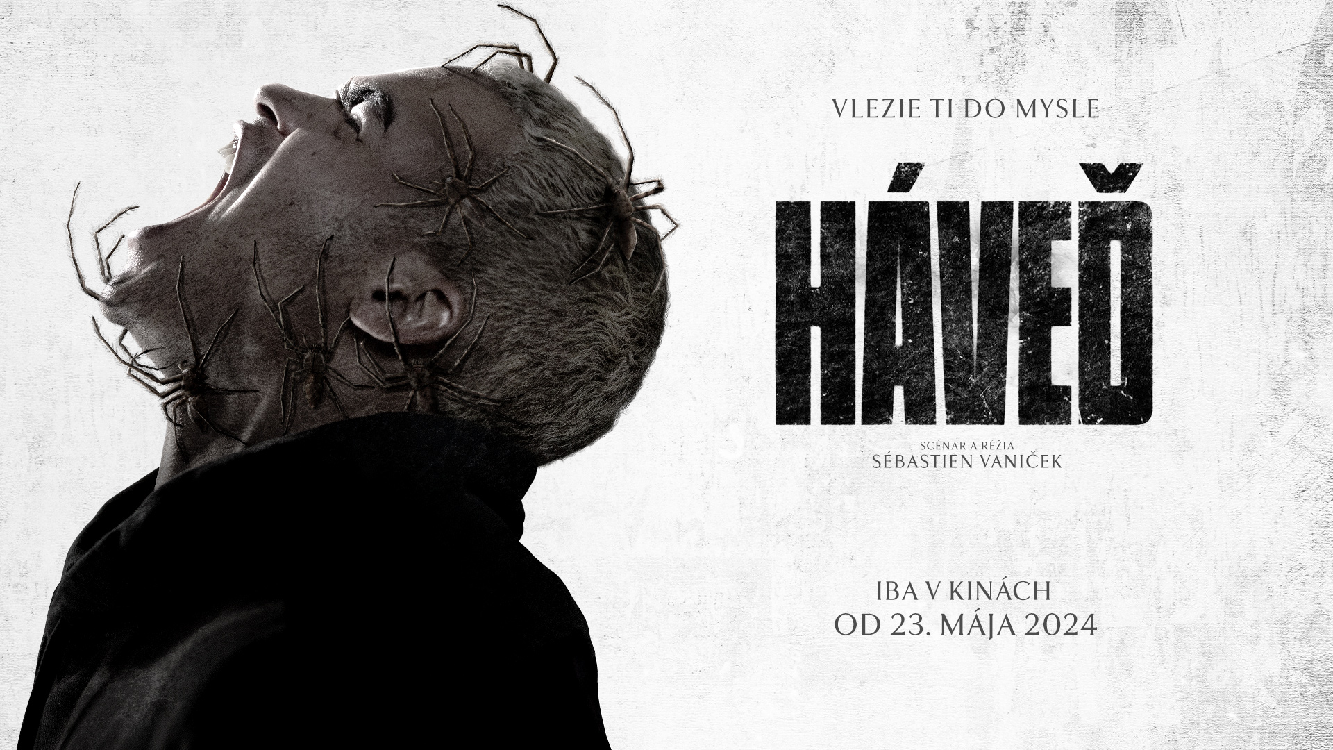 Nový pavúči horor 